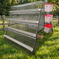 Système de cages automatiques de type A pour poulets pondeurs, équipement d'élevage avicole galvanisé pour 5000 oiseaux