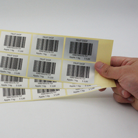 Étiquette de feuille d'autocollant de Code à barres professionnel personnalisé Skyline