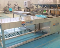 Tofu congelé entièrement automatique à haute efficacité formant et découpant des machines de traitement de produit de haricot de machine