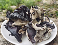 Vente en gros à prix compétitif de Champignons noirs séchés (Fungus Wood Ear) de troisième et quatrième récolte, grande taille