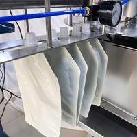 Machine de capsulage automatique de sachets préformés en acier inoxydable pour produits liquides (lait, shampoing, miel, confiture) – Haute efficacité, écologique