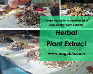 Kualitas tinggi ekstrak akar <span class=keywords><strong>Licorice</strong></span> kemurnian akar bubuk ekstrak - Product Image 4