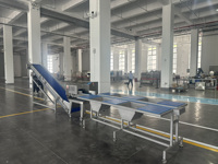 Volledig automatische industriële aardappelwas- en schilmachine voor 5 ton per uur, knoflookmachine en borstelapparatuur voor het reinigen van wortelgewassen