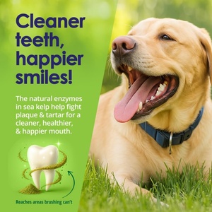 Servicio Integral: Polvo Quita Placa para Perros, Mejora el Mal <span class=keywords><strong>Aliento</strong></span> Relacionado con la Digestión, con Extracto de Arándano, 300g, Envío Rápido - Product Image 2