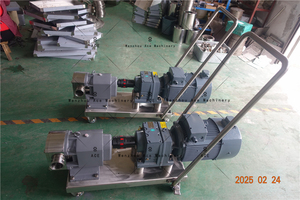 Pompe à huile à engrenages pour pompe électrique industrielle Ace, 220 volts pour le transfert des huiles et des lubrifiants - Product Image 3