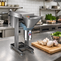 Commerciële roestvrijstalen motor aangedreven 380V 3KW fruit- en groentepureemachine multifunctionele chilipeper- en knoflookpasta machine