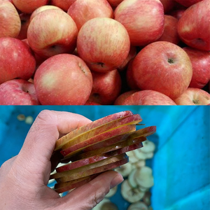 प्लांटेन चिप्स स्लैसिंग मशीन वाणिज्यिक सब्जी स्लिसर मशीन अदरक स्लिसिंग मशीन स्पष्ट चिप स्लैसिंग मशीन - Product Image 3