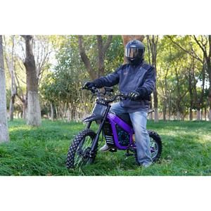 Moto tout-terrain avec moteur 2000W, batterie au lithium, vitesse de 70-75 km/h, autonomie de 50-80 km, frein à disque hydraulique, cadre en aluminium - Product Image 1