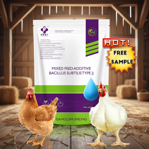 Suplementos para animales suplementos de aminoácidos para aves de corral engorde rápido gallinas ponedoras <span class=keywords><strong>huevo</strong></span> plus - Product Image 1