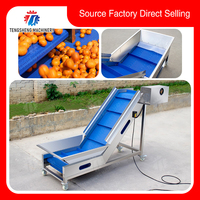 Roestvrijstalen Automatische Groente Fruit Lift Aangepaste Voedselverwerkende Machine Ts T30