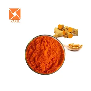 Hữu Cơ bột nghệ Curcuma longa chiết xuất từ rễ Curcumin bột