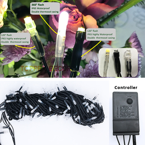 재회 파티 장식 <span class=keywords><strong>4</strong></span>가지 모드 색상 변경 CE ROHS 10M 20M <span class=keywords><strong>LED</strong></span> 요정 전구 야외 크리스마스 정원 캠핑용 - Product Image 2