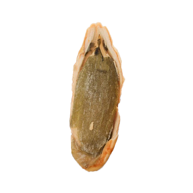 Raw Roasted Dried High Quality Beauty