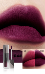 Vente directe d'usine Texture de voile aérographe lisse et pas facile à sécher 4 en 1 Pigments lumineux Crème pour les lèvres magique - Product Image 4