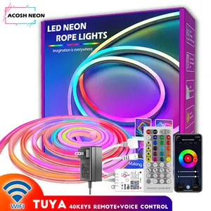 TUYA LED şerit ışıkları Wifi 12V RGBIC Neon halat ışıkları ile müzik Sync Neon Led ışıkları odası oyun odası dekorasyon için alexa 10M