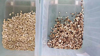 Wenyao Hete Nieuwe Producten Rijst Soja Walnoot Cashew Pistache Noot Amandel Kleur Sorter Machine Wereldwijd Leverancier