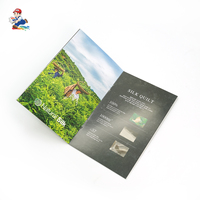 Brochure personnalisée de haute qualité avec reliure agrafée, impression numérique sur papier kraft/revêtu, logo personnalisé, couleur CMJN