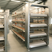 Système d'alimentation automatique pour l'élevage de poulets de chair et de poules pondeuses en cages