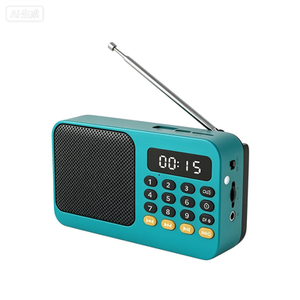 Yaşlılar için Taşınabilir FM Kartlı Radyo, El Feneri, Dijital Ekran, Şarj Edilebilir Pil - Dış Mekan Kullanımı ve Gurbani Radyosu - Product Image 2