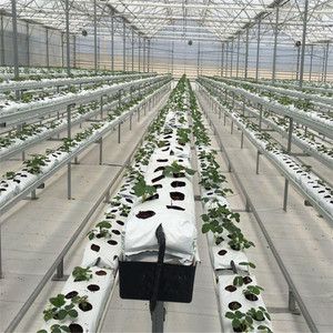 LANTAN eco-friendly auto irrigazione moderno PVC grondaia sacchetto di coltivazione casa verde pianta coltivazione vasi di fiori fioriere giardino - Product Image 6