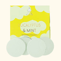 Tablettes de douche artisanales véganes bio de luxe à marque privée, aromathérapie aux huiles essentielles naturelles, eucalyptus menthe, coffret cadeau