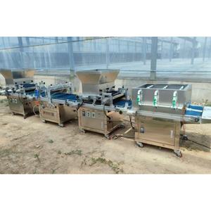 Línea de Producción de Siembra en Bandeja Totalmente Automatizada, Máquina de Plántulas para Invernadero, Sembradora de Bandejas para Vegetales/Flores - Product Image 2