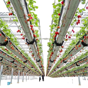 Gran oferta, invernadero agrícola, canalón de fresa, Canal hidropónico de PVC usado, canalón de plantación hidropónico para fresa - Product Image 1