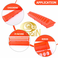 Qianqin Abreuvoir en plastique à 28 trous pour volailles, mangeoires pour animaux de ferme, 20 pouces, prix abordable, bonne qualité, usine chinoise, 50 cm de long