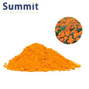 Pure Natural Marigold Extract Powder Marigold Flower Powder Marigold Powder