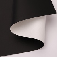 Tissu de projection blanc enduit de PVC de 2,50 m/3,20 m, tissu de projection super plat pour écran de cinéma