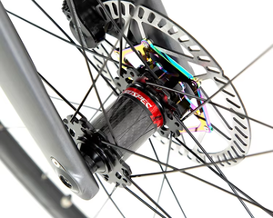 R10Pro con 22 velocidades, rueda 700c 50H, fibra Hydr Racing, R10pro-disc (deportivo) RS-22S, Hydr Disc, carbono 50H - Product Image 3