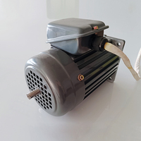 Moteur à induction monophasé 110V-240V 250W à grande puissance de couple, efficacité IE2, 3000 tr/min, montage sur pied, longue durée de vie, vente chaude