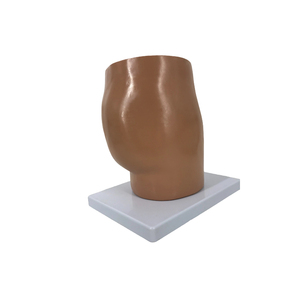 Oem nam xương chậu PVC mô hình y tế giải phẫu loại trợ giảng dạy cho các trường học cần thiết cho giải phẫu sinh lý các khóa học bệnh viện - Product Image 2