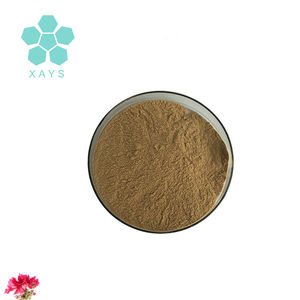 Estratto di piante di Youshuo Biotech estratto di radice di geranio estratto di radice di Pelargonium Sidoides per uso alimentare biologico - Product Image 2