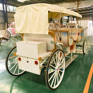 Carrozza Vintage Personalizzata a Tre File per Gite Turistiche, Design Personalizzato Elettrico o a Cavallo - Product Image 5