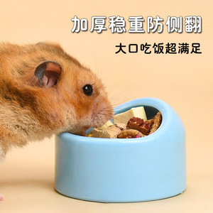 Tazón de comida para hámster, diseño inclinado rosa, contenedor de alimentación antideslizante para mascotas pequeñas - Product Image 2
