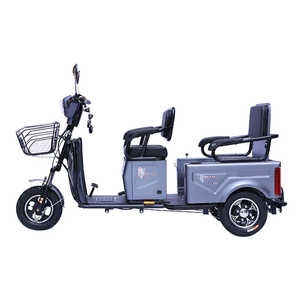 Fat Bike Electric Panel Rickshaw Car <strong>Camper</strong> Electric Tricycle Petrol 3 Wheel Motorcycle <strong>Trike</strong> Folding Tricycle <strong>Trike</strong> Tricycle - Product Image 3