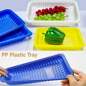 Oferta por tiempo limitado Logotipo personalizable Bandejas de comida de plástico PP Venta caliente - Product Image 4