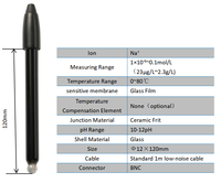 Sodium-ion Composite Electrode BNC Glass Housing Water Quality Testing Custom Models Accuracy 1*10-7 1 Year Warranty R-Z Brand