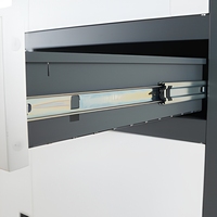 Armoire de classement en acier moderne pour bureau, armoire métallique à 2 tiroirs avec étagères réglables