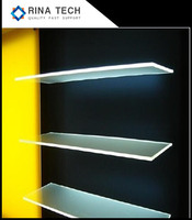 Panneau optique PMMA IPS à éclairage périphérique 3mm 4mm 6mm, plaque de guidage lumineux LED en acrylique transparent à points LGP