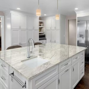 Granite Blanc Thunder – Pierre Naturelle Élégante pour Intérieurs et Extérieurs de Luxe - Product Image 1