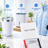 Plaque de refroidissement Peltier ANLING TEC1-12703 40*40*4.3mm, module thermoélectrique semi-conducteur 12V 3A 30.6W pour tasse de refroidissement