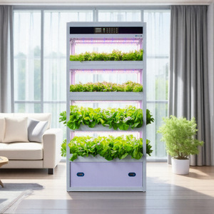 Sistema de Cultivo Hidropónico Vertical, Granja Inteligente de Vegetales para Interiores con Luz LED de Cultivo - Product Image 2