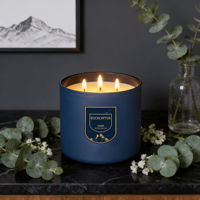 Bougie parfumée à la cire de soja à trois mèches personnalisée pour Diwali, coffret cadeau, décoration pour la maison, le bar, les fêtes, cadeau haut de gamme, vente en gros ODM/OEM