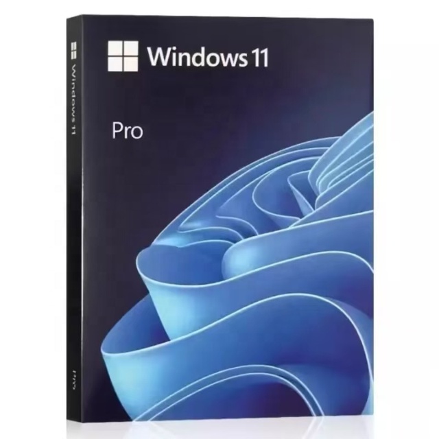 For 11 Professional USB Activation Book Online Global Multi-Language Support 12 Months Warranty Compatible Mac Operating