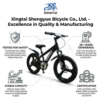Vélo de montagne à une vitesse pour adultes SY de bonne qualité, 20 pouces, roue monobloc, vélo léger pour hommes et femmes