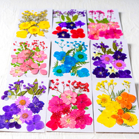 INTODIY – fleurs séchées pressées en vrac, paquet mixte de vraies feuilles de fleurs sèches fraîches, plante pour résine, Nail Art fait à la main