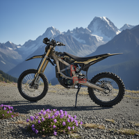 Moto électrique Surron Ultra Bee 2025 tout-terrain 21KW 74V 60AH – Surron pas cher à vendre