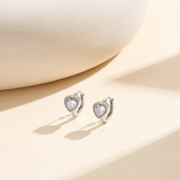 Boucles d'oreilles clous unisexes en or, argent et zircon, en acier inoxydable, légères, anti-oxydation, durables, faible entretien